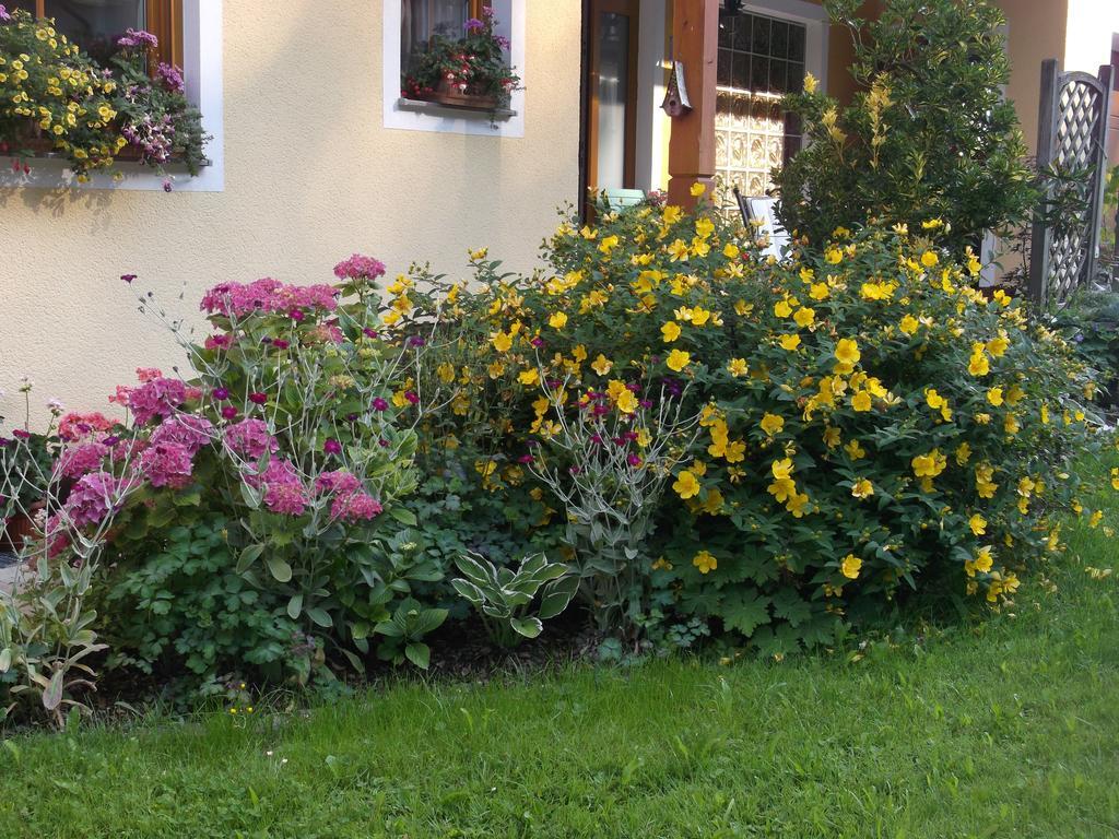 Apartament Haus Margit Schlierbach Zewnętrze zdjęcie